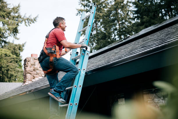 Best Steel Roofing  in St Elmo, IL