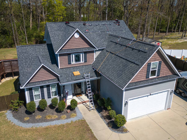 Best Asphalt Shingles Roofing  in St Elmo, IL